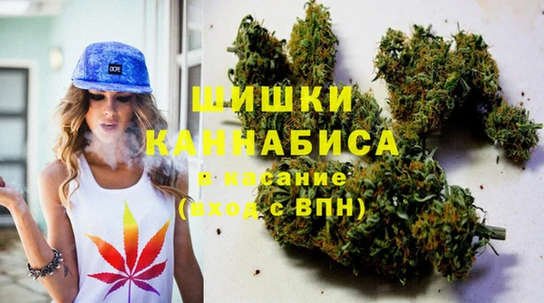 ПСИЛОЦИБИНОВЫЕ ГРИБЫ Осташков