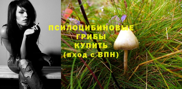 экстази Алзамай