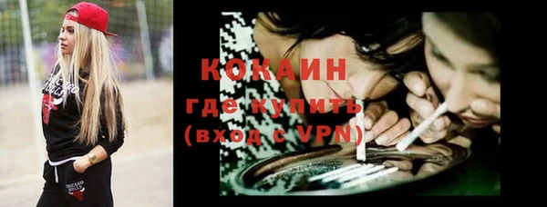 крисы Алексин