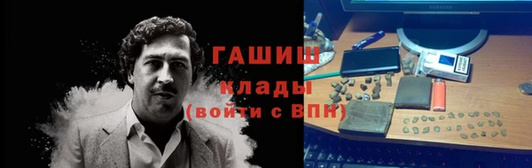 крисы Алексин