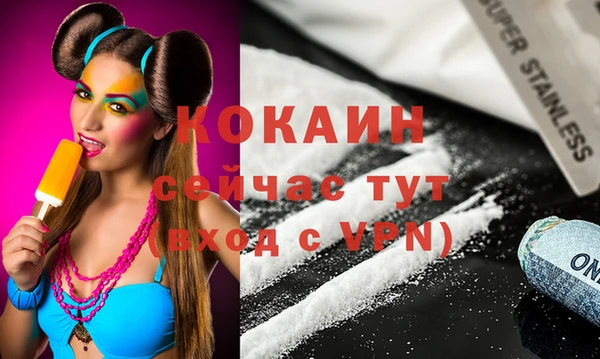 прущие грибы Болхов